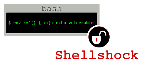 Successfully Tackling Shellshock Vulnerability