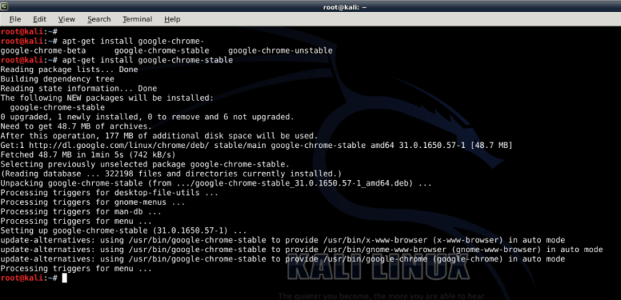 Как установить google chrome на kali linux