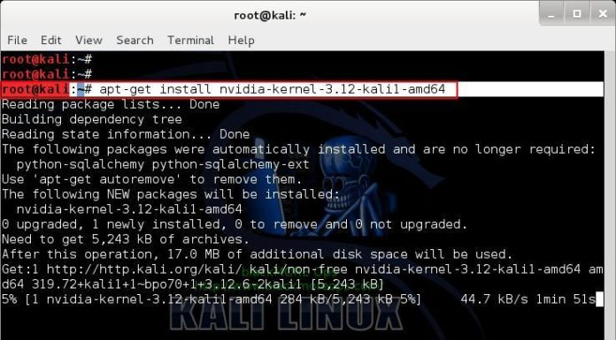install nvidia driver in kali linux virtualbox settings