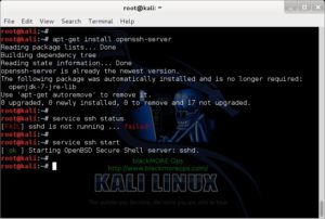 Kali linux подключение по rdp