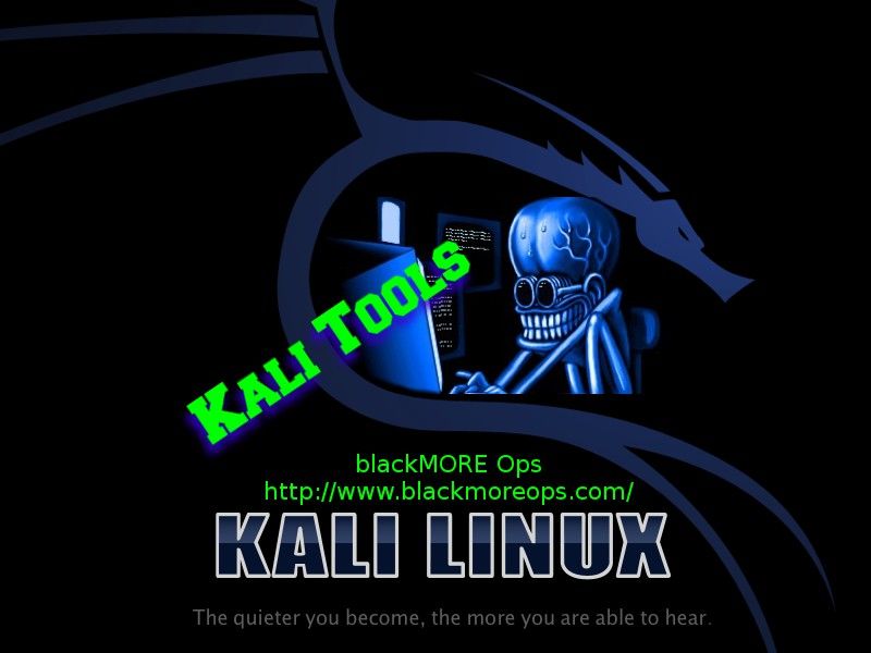 install vpn and noip kali linux