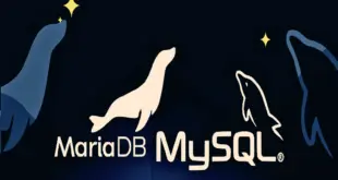 How to Create a MySQL Database, Set User Permissions and Import SQLdump File - blackMORE Ops - 5